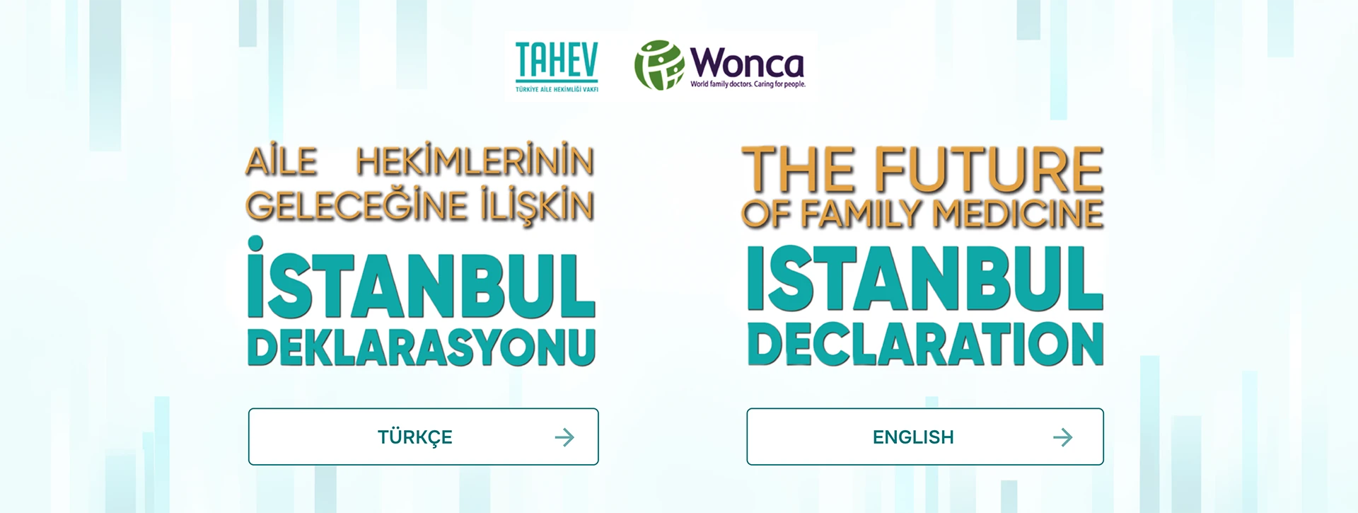 İstanbul Declaration